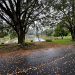 Casa à venda com 4 quartos, sendo 2 suítes, no condomínio Zuleika Jabour, Salto - SP