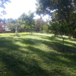 Chácara à venda com 3 quartos, sendo 2 suítes,  em Vila Darcy Penteado (mailasqui), São Roque, SP