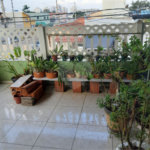 Sobrado à venda com 2 quartos em Jaçanã, São Paulo, SP