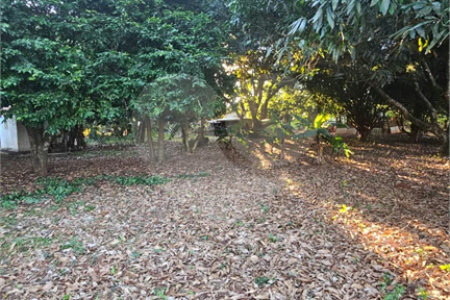Terreno à venda em Jardim dos Estados, Ponta Porã, MS