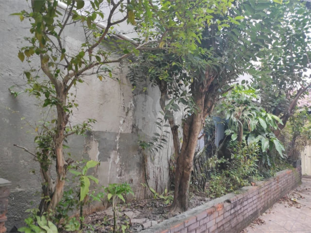 Casa à venda com 3 suítes em Matriz, Mauá, SP