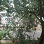 Apartamento à venda com 3 quartos em Paraisópolis, São Paulo, SP