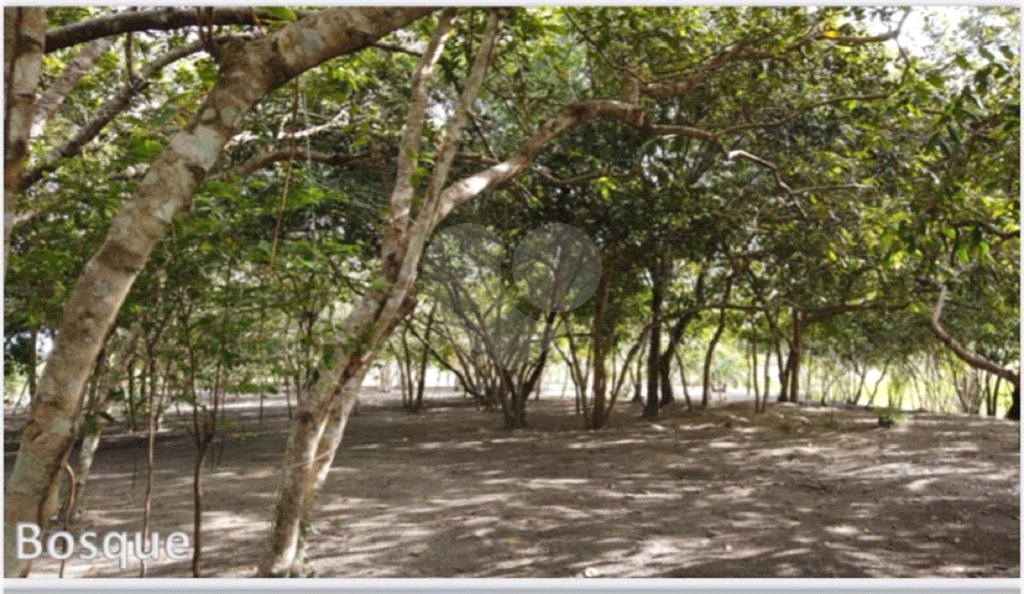 Terreno à venda no condomínio Mogi dos Pássaros, Belmonte - BA