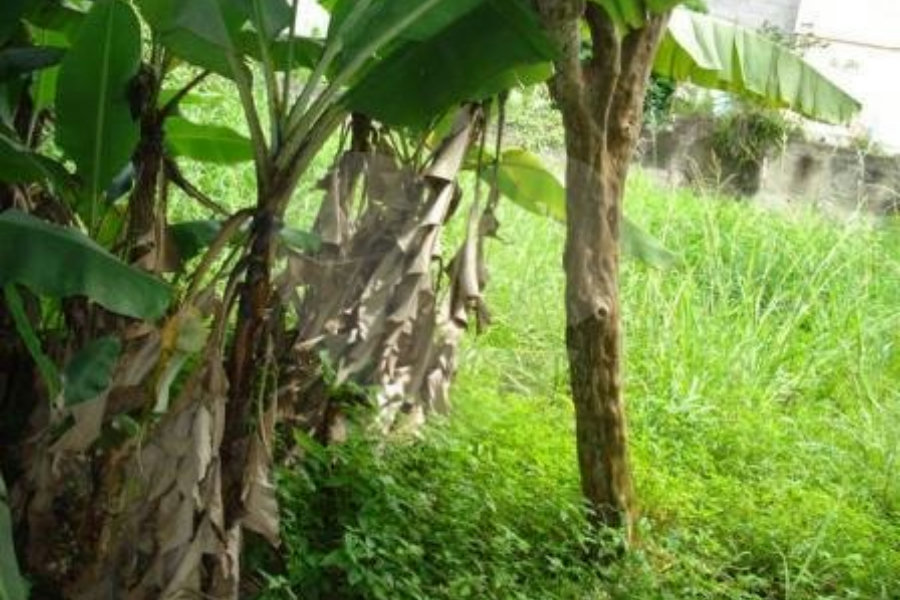 Terreno à venda em Tremembé, São Paulo, SP