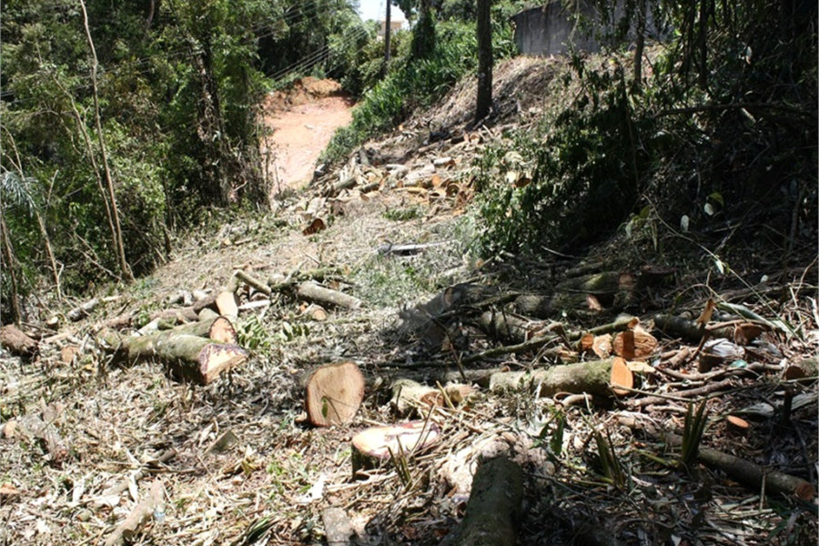 Terreno à venda em Serra da Cantareira, Mairiporã, SP
