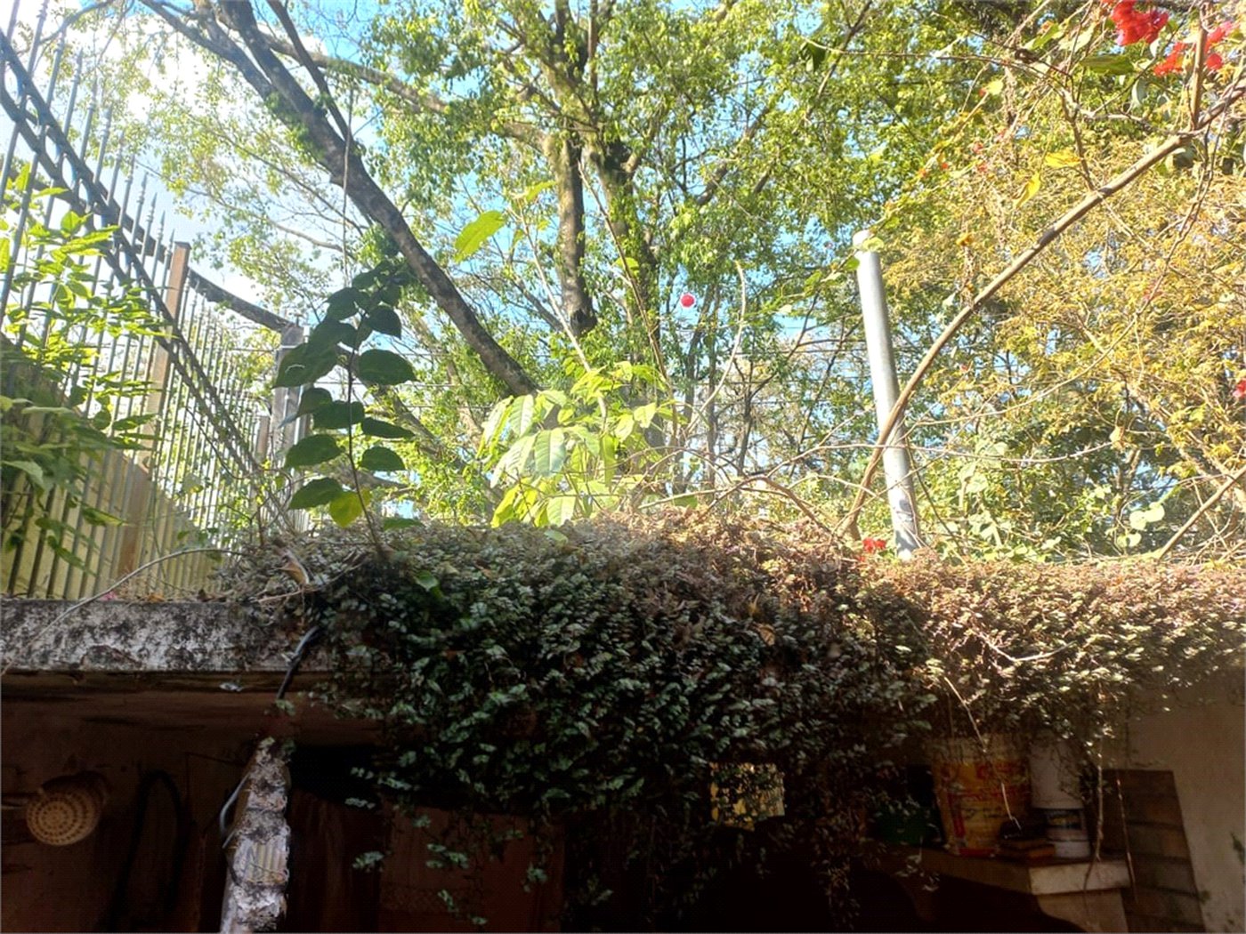 Casa à venda com 3 quartos, sendo 2 suítes, em Morumbi, São Paulo, SP