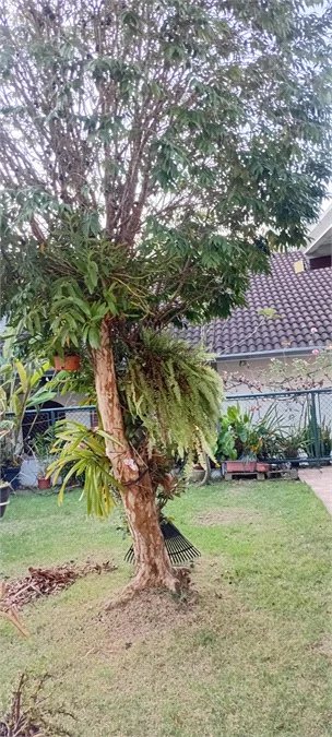 Casa à venda com 4 quartos, sendo 2 suítes, em Vila Sônia, São Paulo, SP
