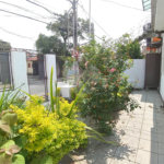 Terreno à venda ou para alugar com 3 quartos em Tucuruvi, São Paulo, SP