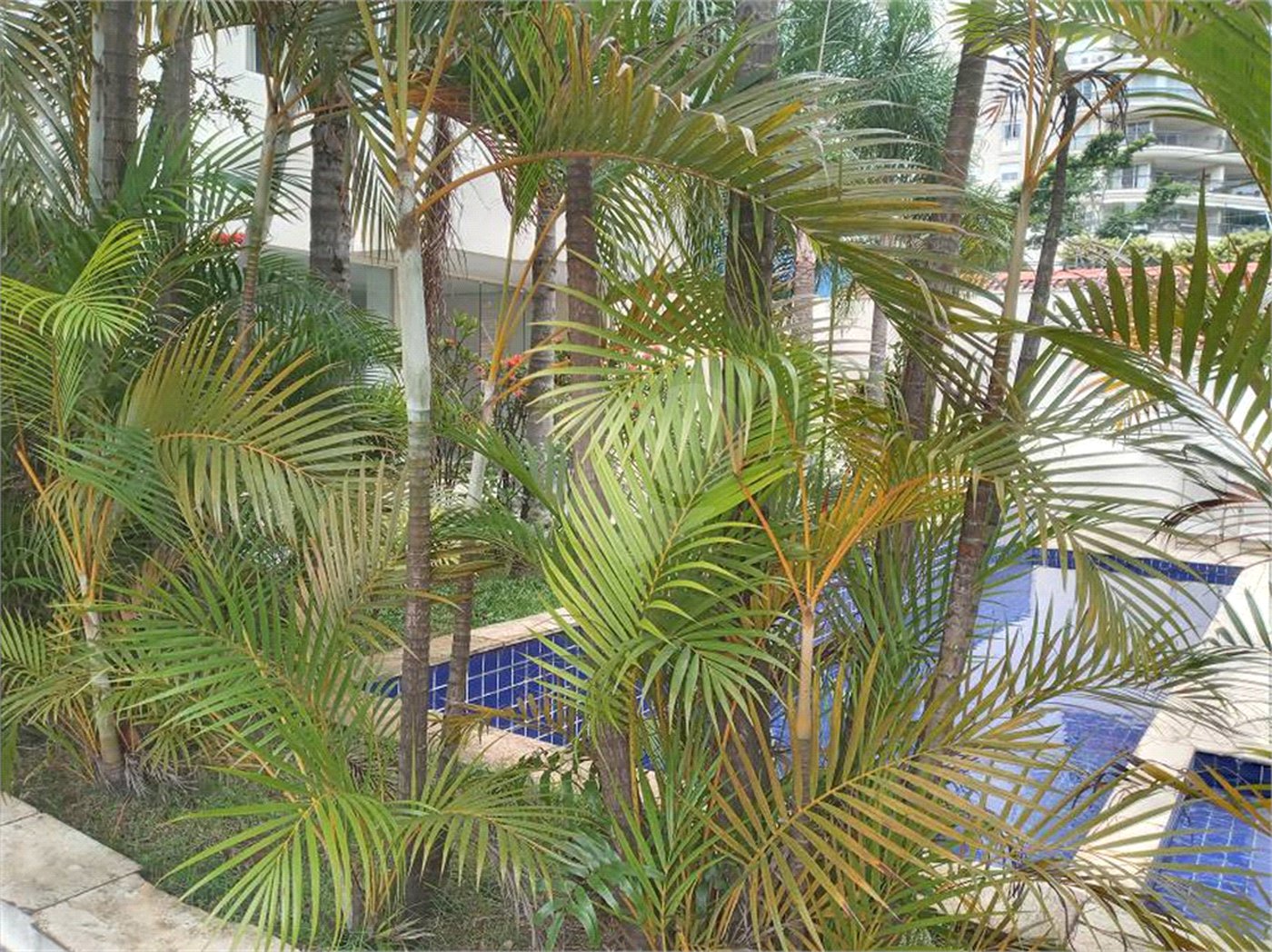 Apartamento para alugar com 79m², 2 suítes e 2 vagas próximo ao Portal do Morumbi