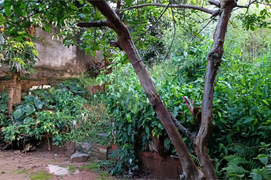 Terreno a Venda em Pirituba