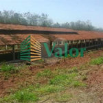 Sítio Estrada São Carlos Ribeirão - próximo São Carlos