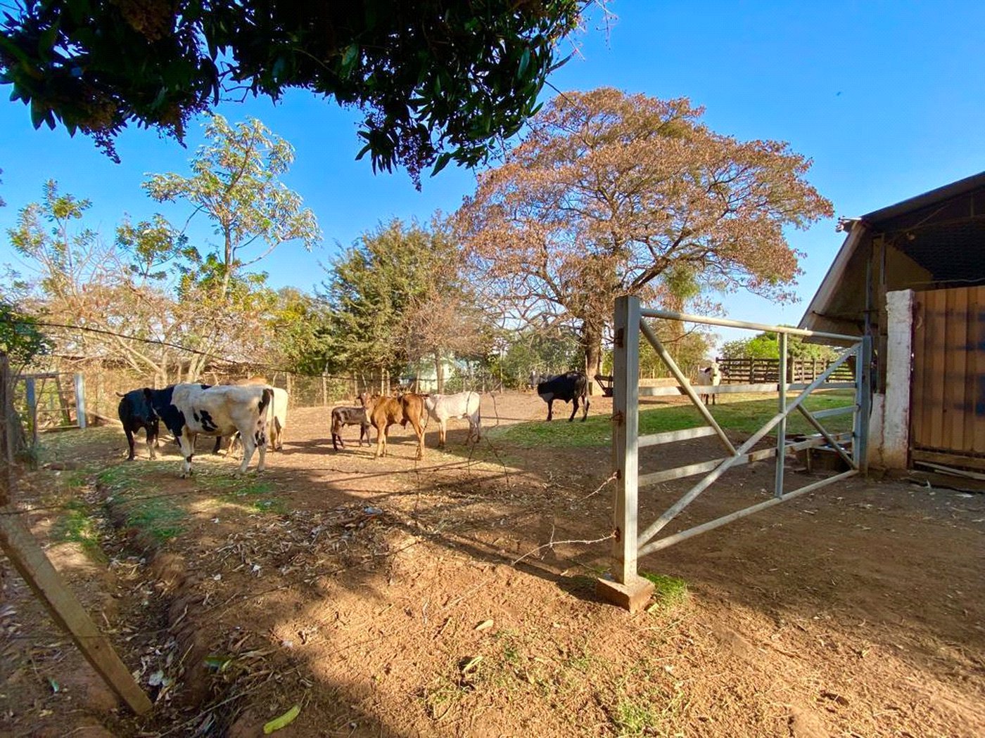 Sítio na cidade de Taiuva-SP.