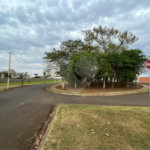 Terreno comercial disponível para venda Bairro Santa Rosa