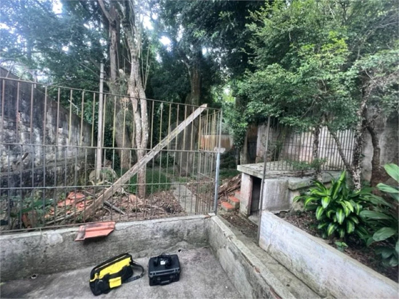 Vendo Terreno de 290m2 rua do Horto para sua casa ou investimento