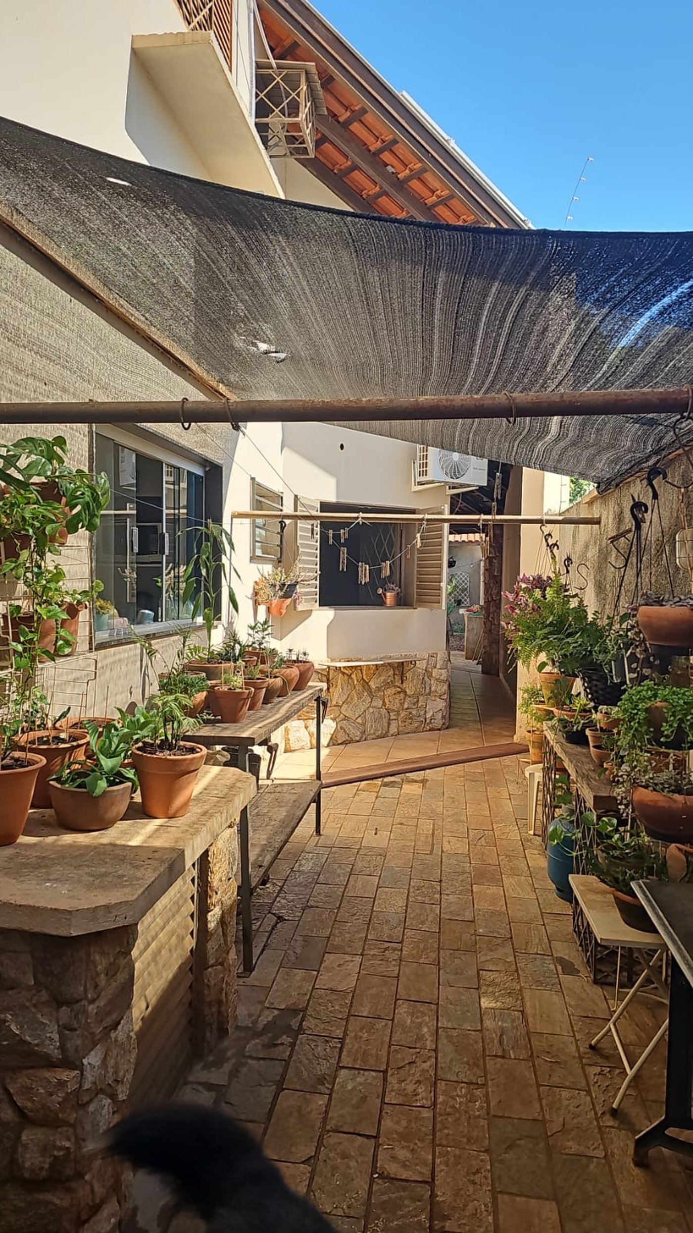 Casa para alugar com 4 suítes em São Carlos, Três Lagoas, MS