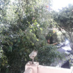 APARTAMENTO DE 3 QUARTOS À VENDA NO PARAÍSO