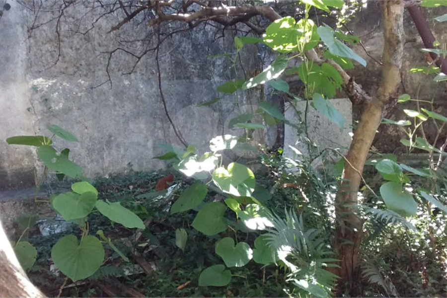 Terreno para alugar em Água Fria, São Paulo, SP