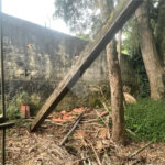 Vendo Terreno de 290m2 rua do Horto para sua casa ou investimento
