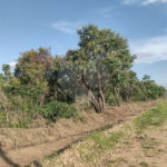 Vende-se área comercial com 220m de frente para a Washington Luiz,