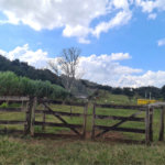 VENDA SÍTIO 48 hectares com estruura para granja, hidroponia e gado