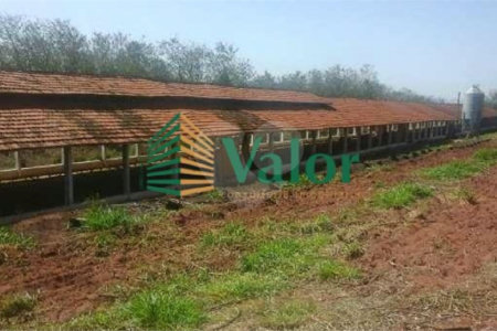 Sítio Estrada São Carlos Ribeirão - próximo São Carlos