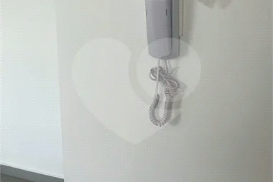 Apartamento para alugar com 2 quartos em Tucuruvi, São Paulo, SP