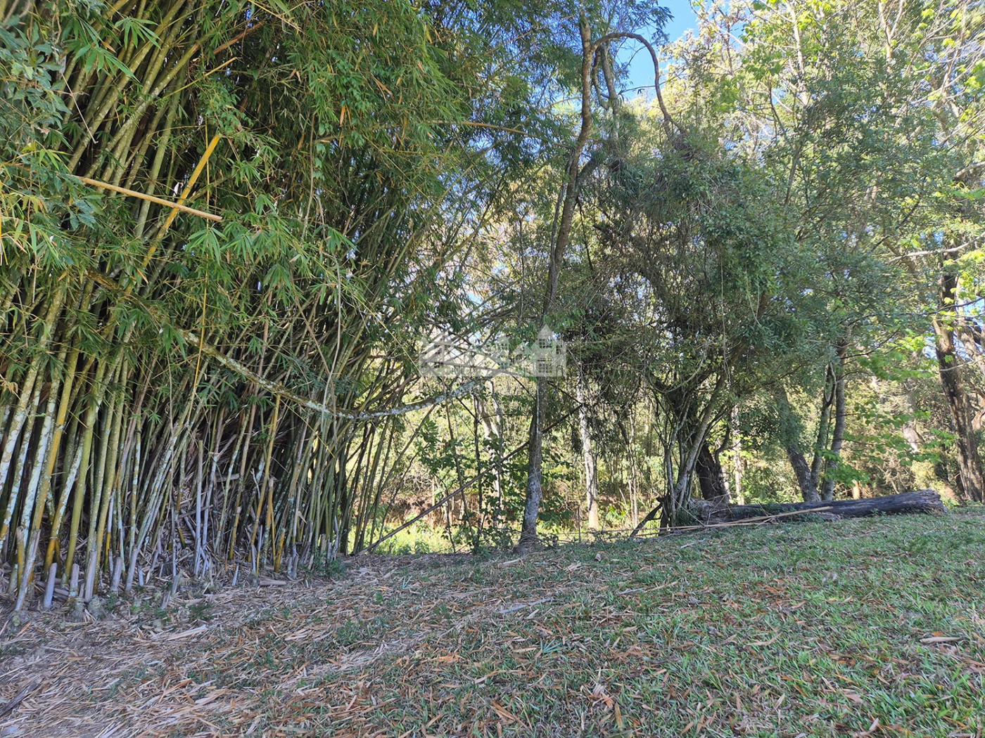 Sítio à venda com 7 alqueires, em Serra do Capetinga, Itapeva - MG