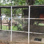 Sitio para venda.