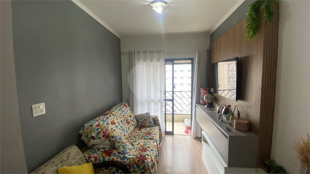 Apartamento à venda com 3 quartos em Vila Mascote, São Paulo, SP