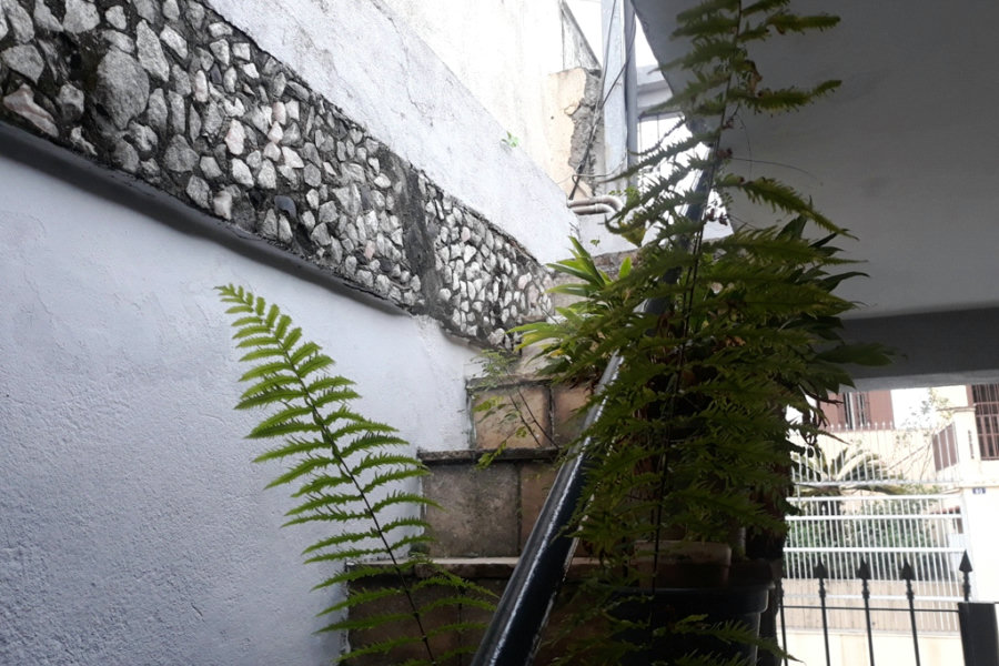 Casa Térrea à venda com 3 quartos em Tucuruvi, São Paulo, SP