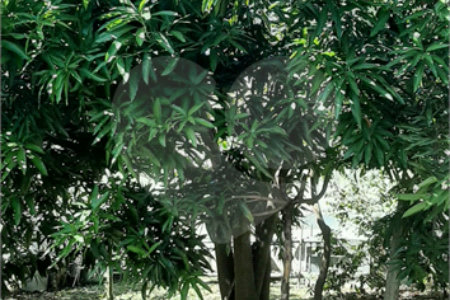Terreno à venda em Vila Guido, Itu, SP