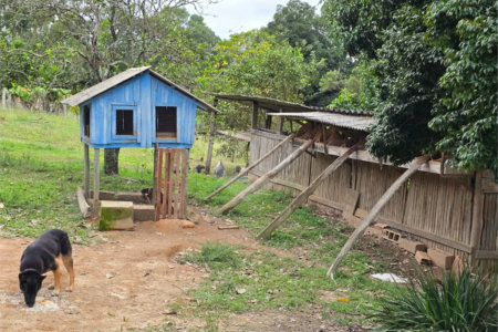 Sítio à venda com 6 quartos, sendo 5 suítes, em Área Rural de Itapetininga, Itapetininga, SP