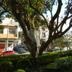 Apartamento à venda com 3 quartos, sendo 1 suíte,  em Brooklin, São Paulo, SP