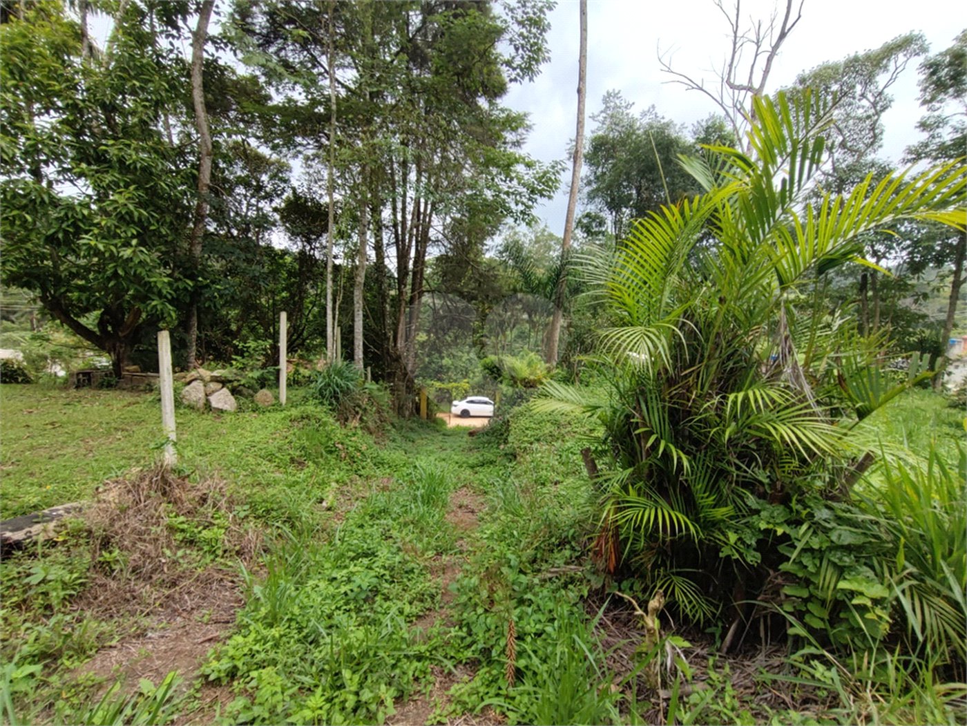 Terreno à venda em Vila Moraes, Mogi das Cruzes, SP