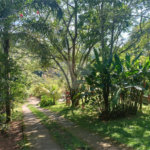 Chácara à venda com 7 quartos, sendo 1 suíte, no Centro (mailasqui), São Roque, SP