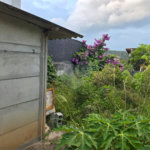Casa à venda com 2 quartos, sendo 1 suíte, em Ressaca, Atibaia, SP