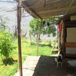 Terreno à venda em Cidade Vargas, São Paulo, SP