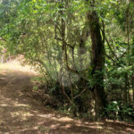 Sítio à venda no Centro, Monte Sião, MG