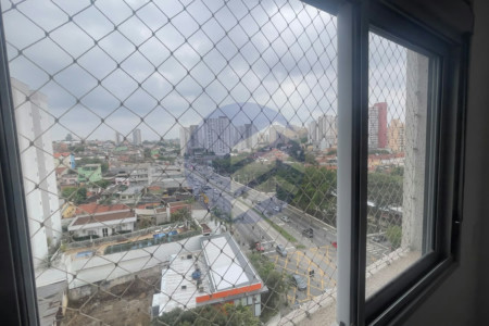 Apartamento para alugar com 3 quartos, sendo 1 suíte, em Vila Mascote, São Paulo - SP
