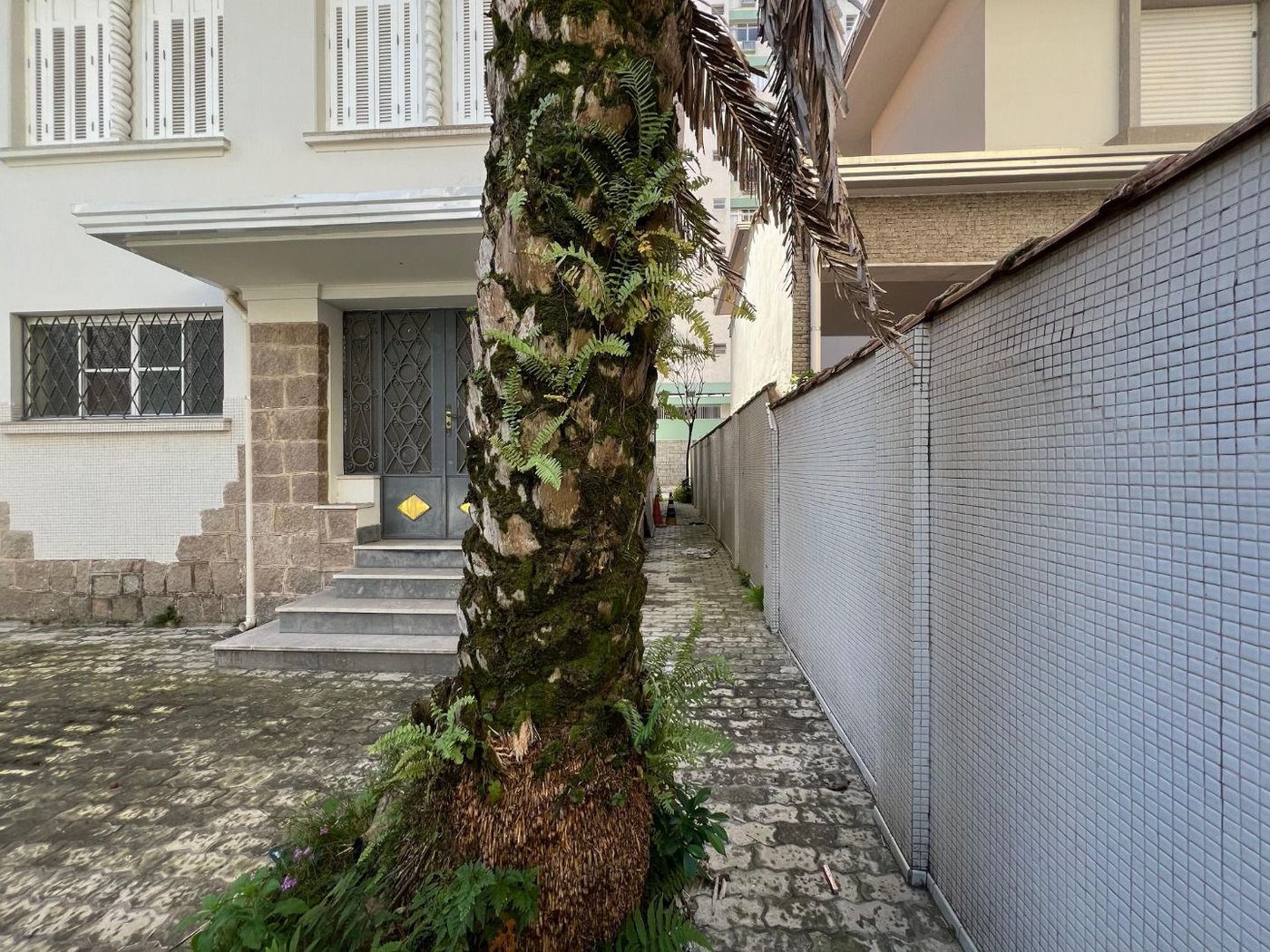 Casa com 3 dormitórios para alugar, 284 m² por R$ 21.162,89 - Gonzaga - Santos/SP