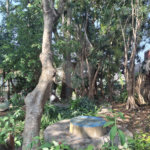 Terreno à venda com 1 quarto em Sumaré, São Paulo, SP