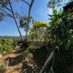 Casa à venda com 3 quartos, sendo 1 suíte, no Centro, Guararema, SP