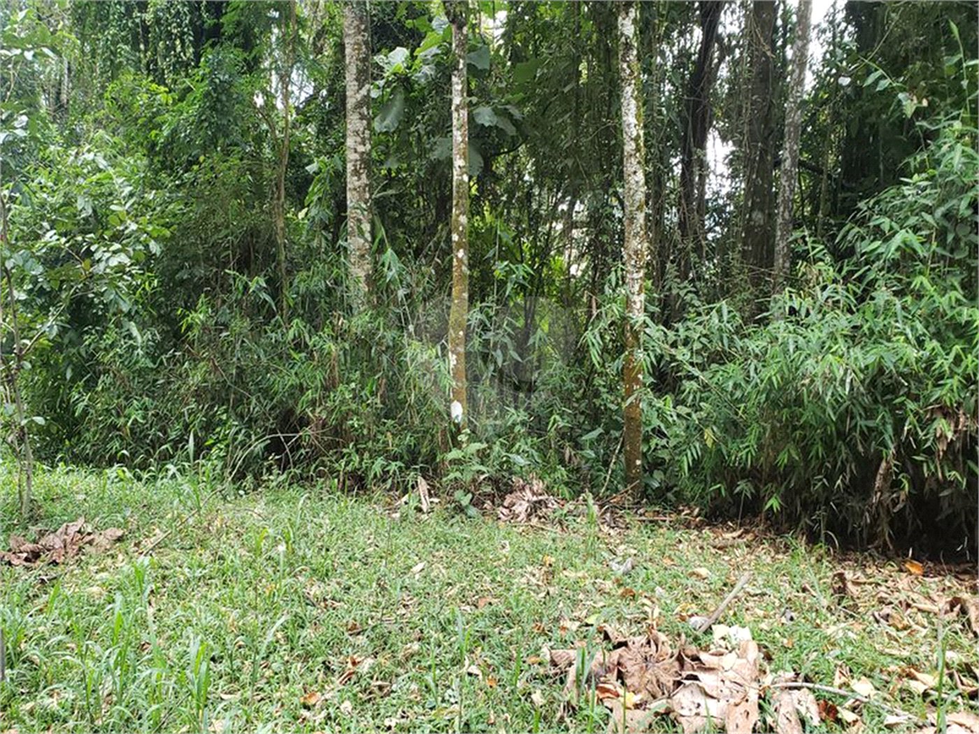 Terreno à venda em Serra da Cantareira, Mairiporã, SP