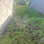 Terreno à venda em Jardim Adelfiore, São Paulo, SP