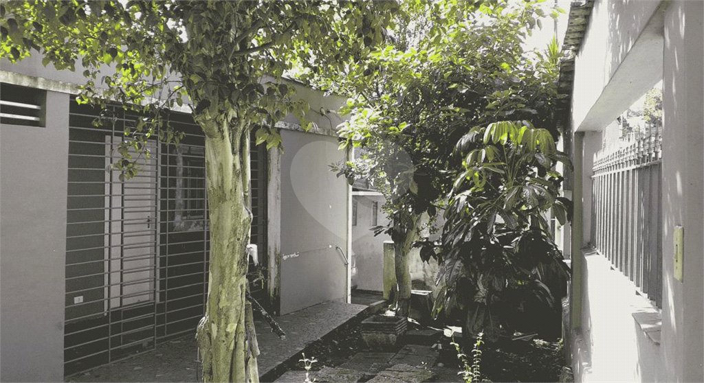 Casa à venda com 5 quartos, sendo 2 suítes, em Planalto Paulista, São Paulo, SP