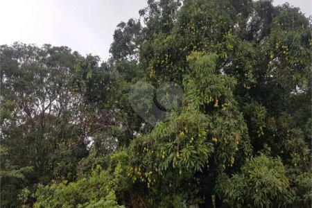 Fazenda à venda com 2 quartos em Canabrava, João Pinheiro, MG
