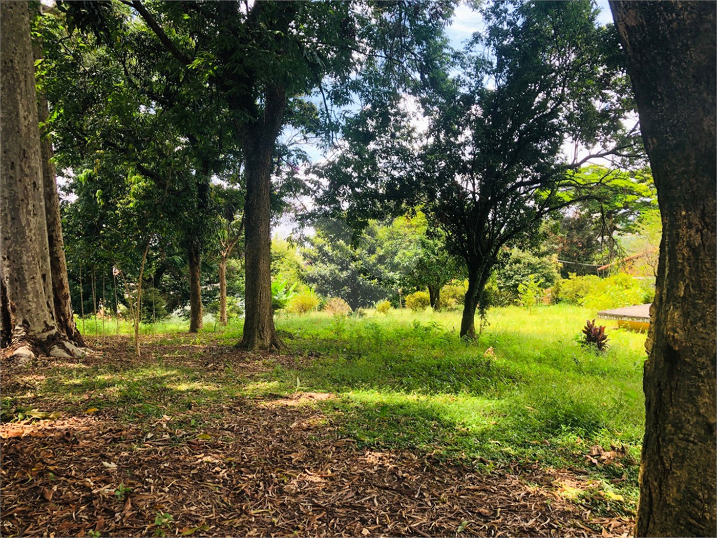 Terreno à venda em Tremembé, São Paulo, SP