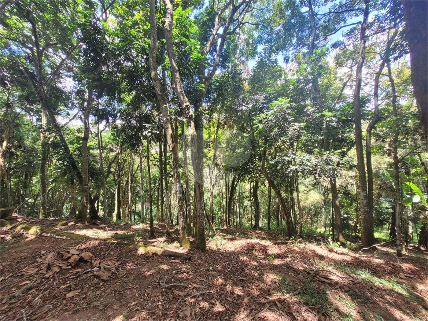 Casa à venda com 2 suítes no condomínio Alpes da Cantareira, Mairiporã - SP