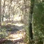 Terreno à venda em Luiz Fagundes, Mairiporã, SP