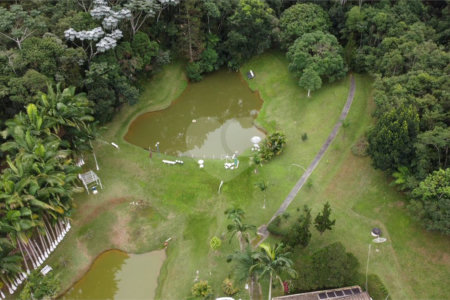Sítio à venda com 5 quartos, sendo 1 suíte, em Ouro Fino, Santa Isabel, SP